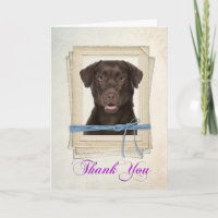 Chocolate Lab Thank You Card