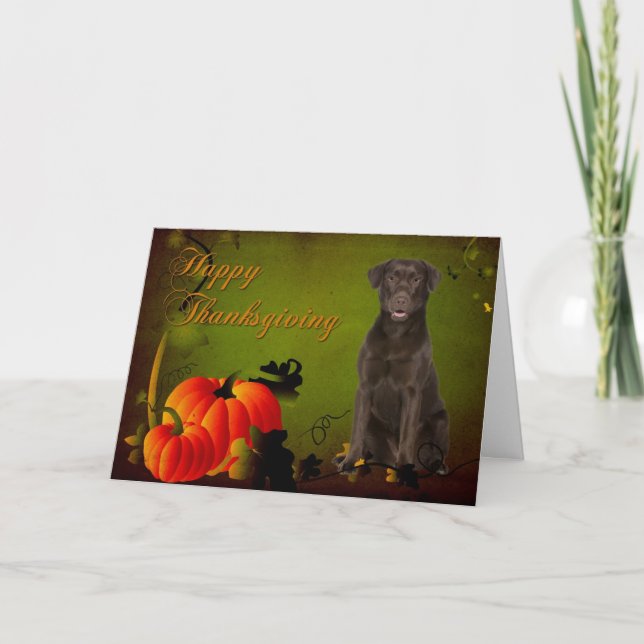 Chocolate Lab Thanksgiving Card (Front)