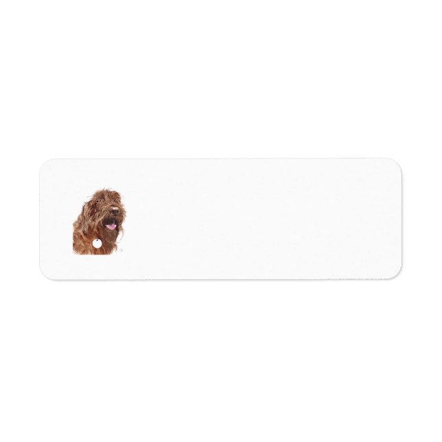 Chocolate Labradoodle Return Address Label (Front)