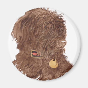 Chocolate Labradoodle Xena Magnet