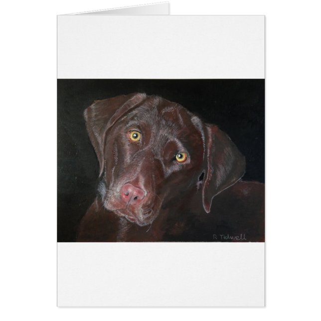 Chocolate Labrador (Front)