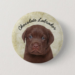 Chocolate Labrador 6 Cm Round Badge