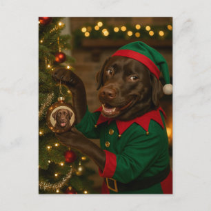 Chocolate  Labrador and bauble Christmas postcard