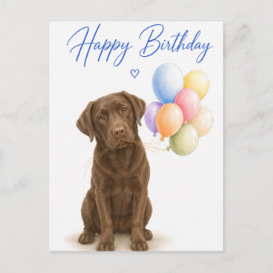 Chocolate Labrador Birthday Postcard