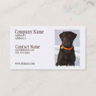 Chocolate Labrador Busines Card