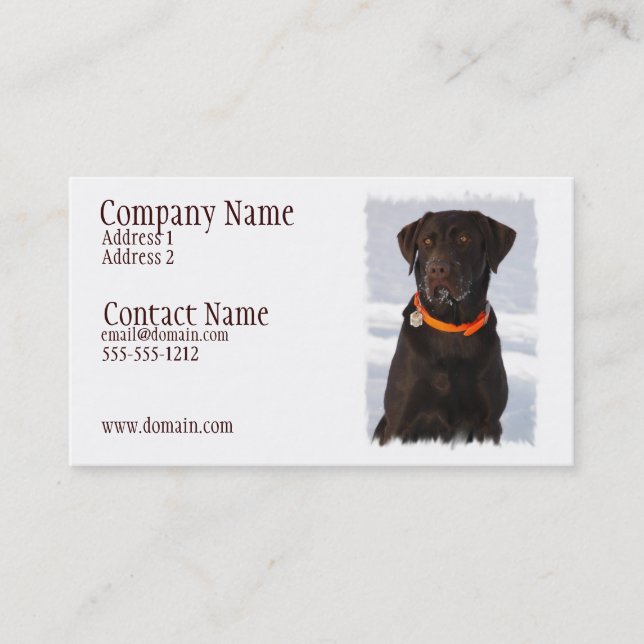Chocolate Labrador Busines Card (Front)