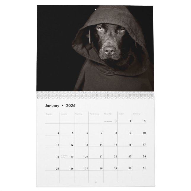 Chocolate Labrador Calendar 2010 (Jan 2026)
