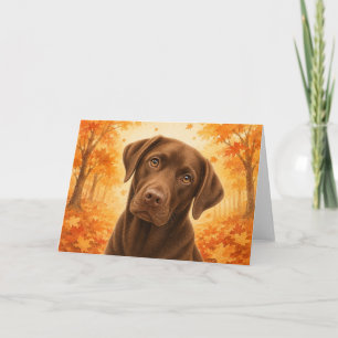 Chocolate Labrador Card