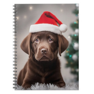 Chocolate Labrador Christmas Notebook
