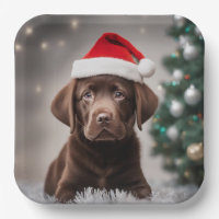 Chocolate Labrador Christmas