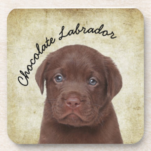 Chocolate Labrador Coaster