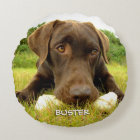 Chocolate Labrador Custom