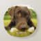 Chocolate Labrador Custom