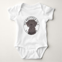 Chocolate Labrador Dog