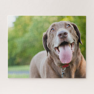Chocolate Labrador Dog Jigsaw Puzzle