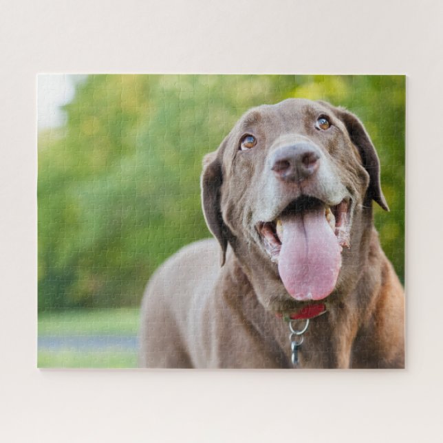 Chocolate Labrador Dog Jigsaw Puzzle (Horizontal)