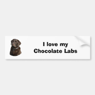 Chocolate Labrador dog photo portrait Bumper Sticker