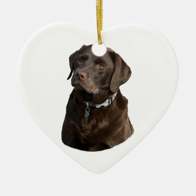 Chocolate Labrador dog photo portrait Ceramic Ornament (Front)