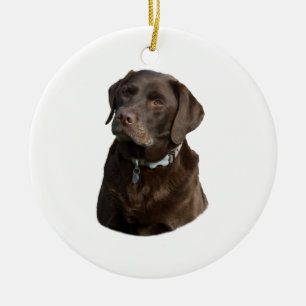 Chocolate Labrador dog photo portrait Ceramic Ornament