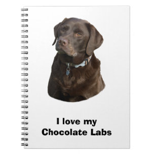Chocolate Labrador dog photo portrait Notebook