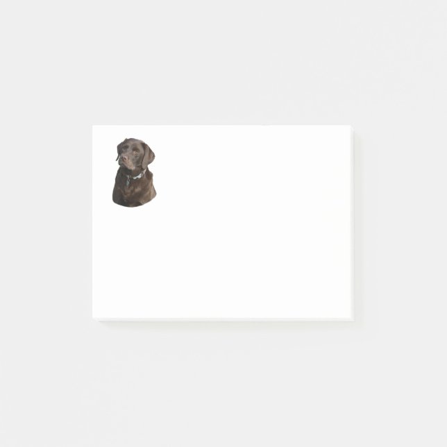 Chocolate Labrador dog photo portrait Post-it Notes (Front)