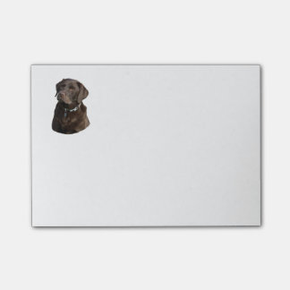 Chocolate Labrador dog photo portrait Post-it Notes