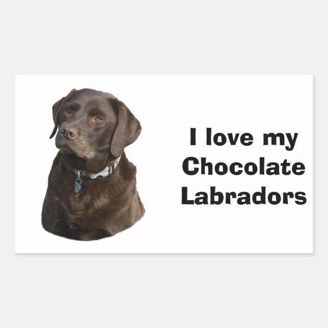 Chocolate Labrador dog photo portrait Rectangular Sticker (Front)