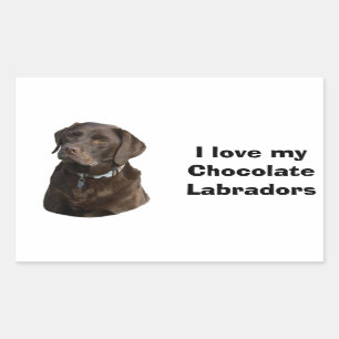 Chocolate Labrador dog photo portrait Rectangular Sticker