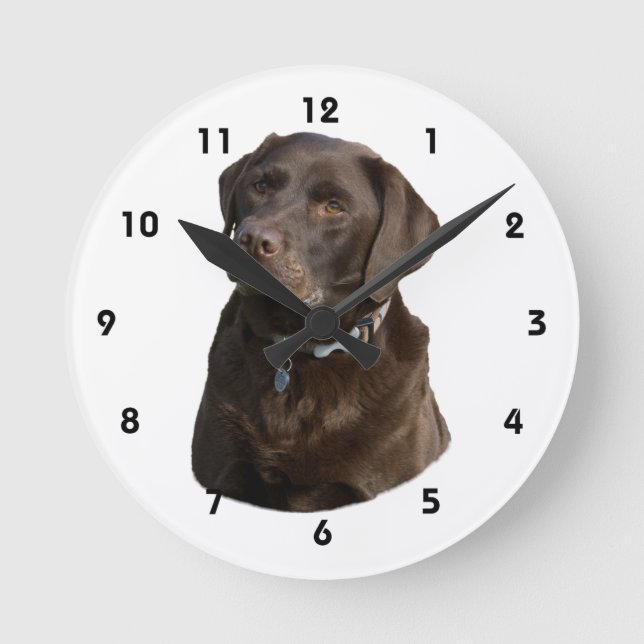 Chocolate Labrador dog photo portrait Round Clock (Front)