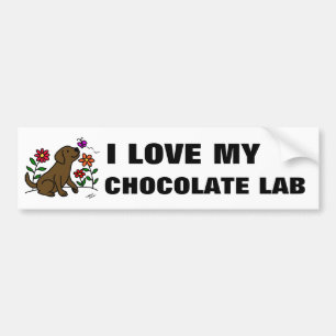 Chocolate Labrador & Green Bumper Sticker