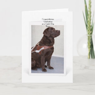 Chocolate Labrador Guide Dog Graduation Card