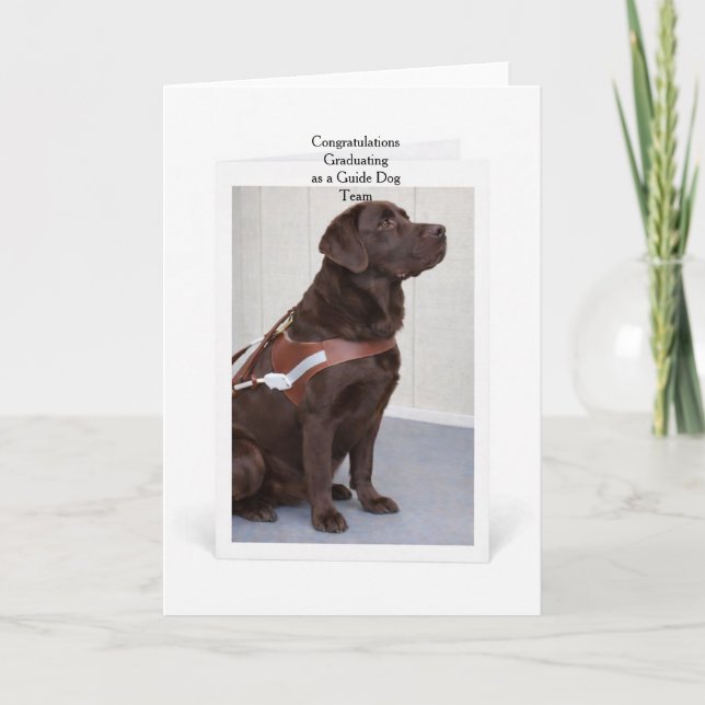 Chocolate Labrador Guide Dog Graduation Card (Front)