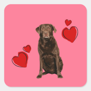 Chocolate Labrador Happy Valentine's Day Square Sticker