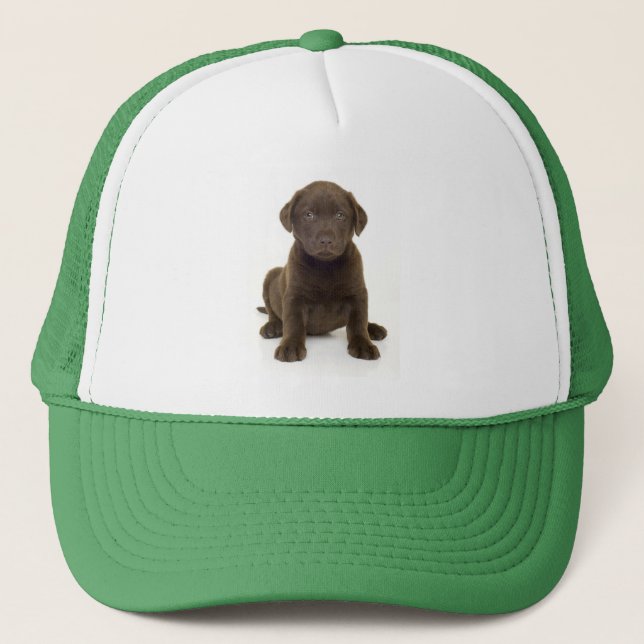 Chocolate Labrador Hat (Front)