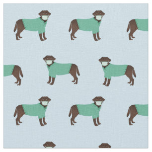 Chocolate Labrador in Scrubs light blue Fabric