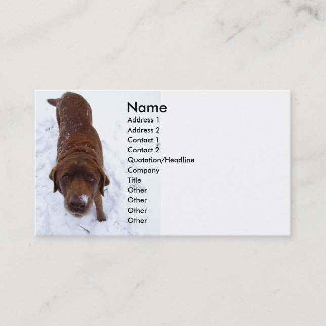 Chocolate Labrador in Snow Business Card (Front)