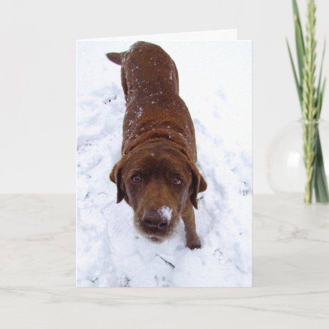 Chocolate Labrador in Snow Holiday Card (Front)