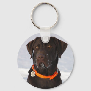 Chocolate Labrador Keychain