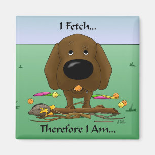 Chocolate Labrador (Labs) - I Fetch...Magnet Magnet