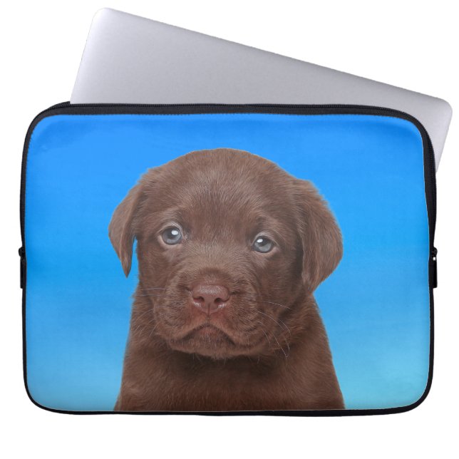 Chocolate Labrador Laptop Sleeve (Front)