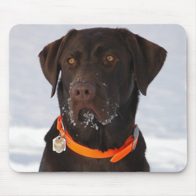 Chocolate Labrador Mousepad (Front)
