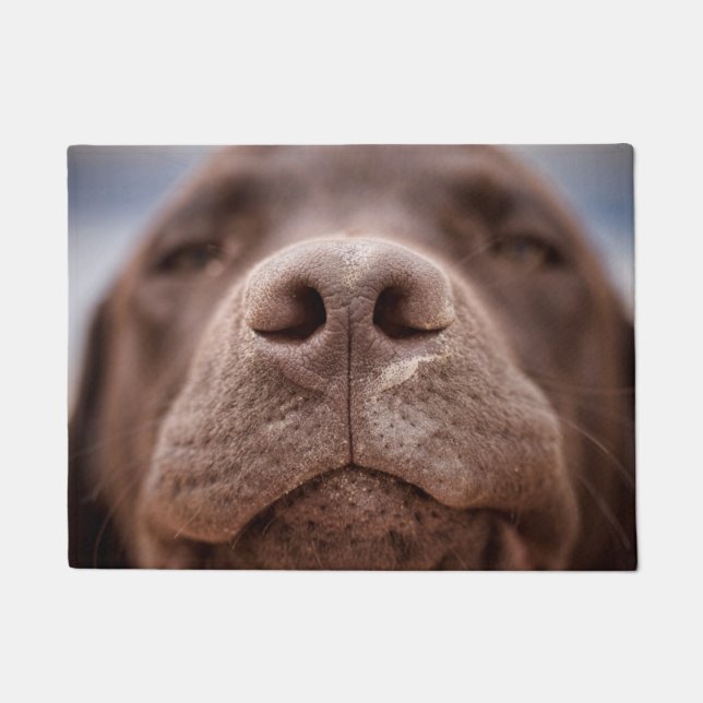 Chocolate Labrador Nose Closeup Doormat (Front)