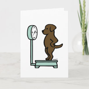 Chocolate Labrador on the Scale Card