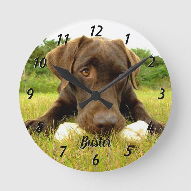 Chocolate Labrador Personalised Large Clock (Front)