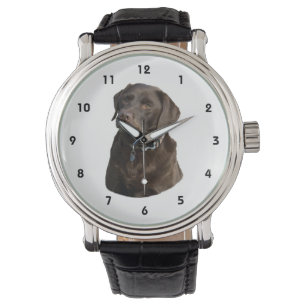 Chocolate Labrador photo portrait Watch