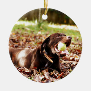 Chocolate Labrador Playing With Ball Ceramic Tree Decoration