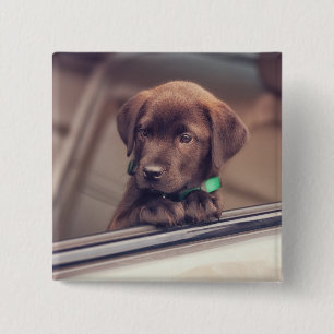 Chocolate Labrador Puppy In Car 15 Cm Square Badge