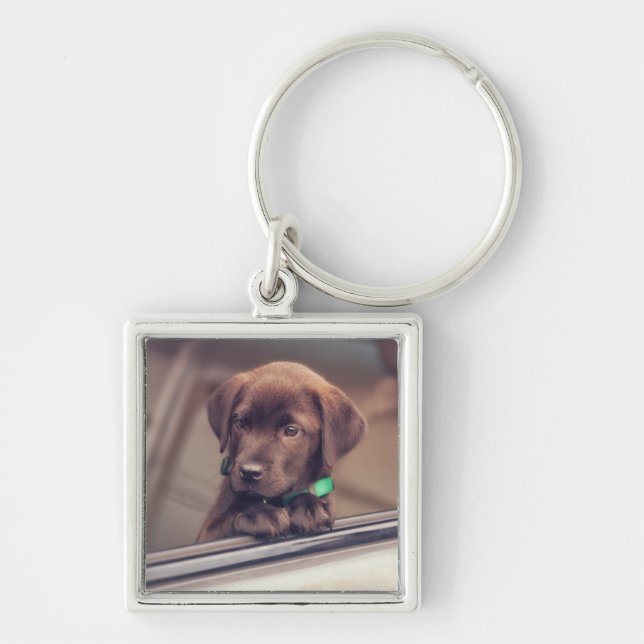 Chocolate Labrador Puppy In Car Key Ring (Front)