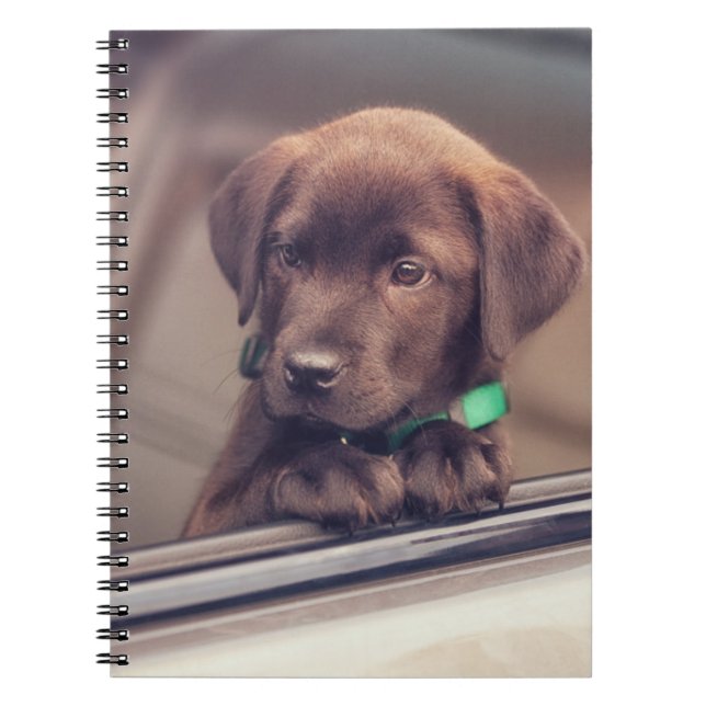Chocolate Labrador Puppy In Car Notebook (Front)