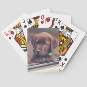 Chocolate Labrador Puppy In Car Playing Cards